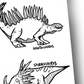 Dinosaurs Colouring Book